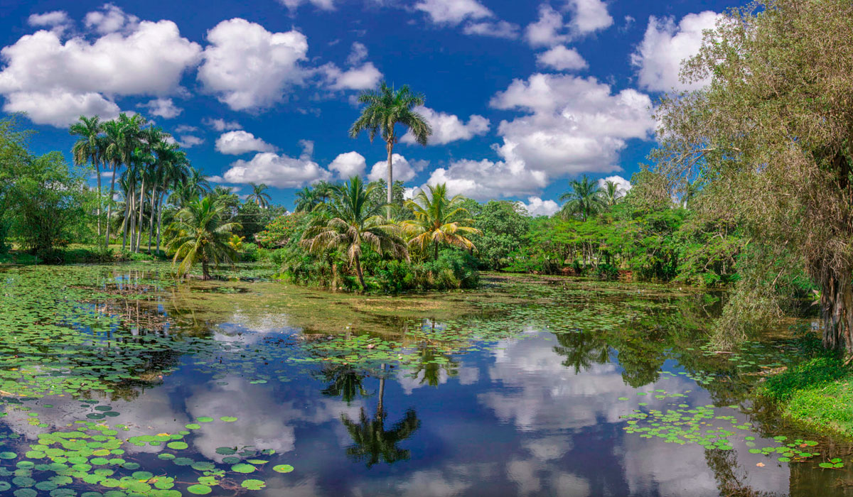 Excursión a Guamá 